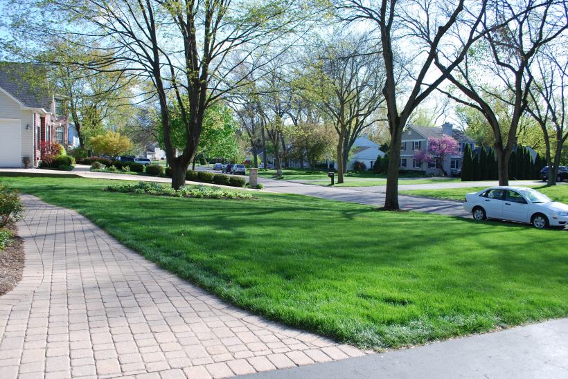 dwn before photo of frony yard looking up brick walkway 4-2012