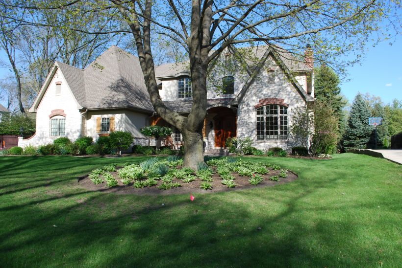 dwn before photo of maple bed without stone outcroppings 4-2012