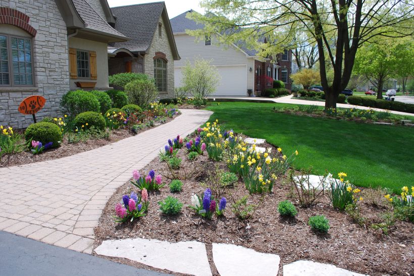 dwn krynicki entry walk with bulbs in bloom 5-7-13