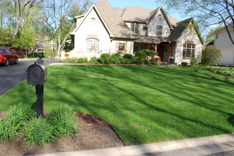 dwn krynicki front yard before pics 4-2012