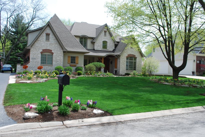 dwn krynicki full front yd with hyacinth and daffs 5-7-13