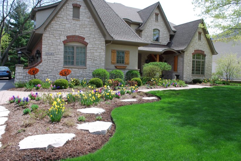 dwn krynicki left half front yd. daffs and hyacinth 5-7-13