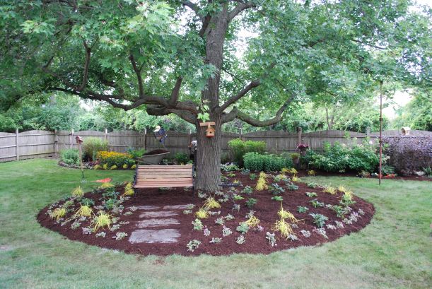 dwn maple tree bed after picture