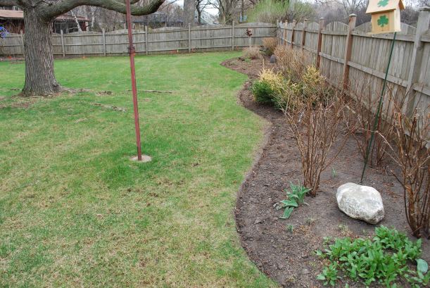 dwn petty before pic of west side of new maple tree bed