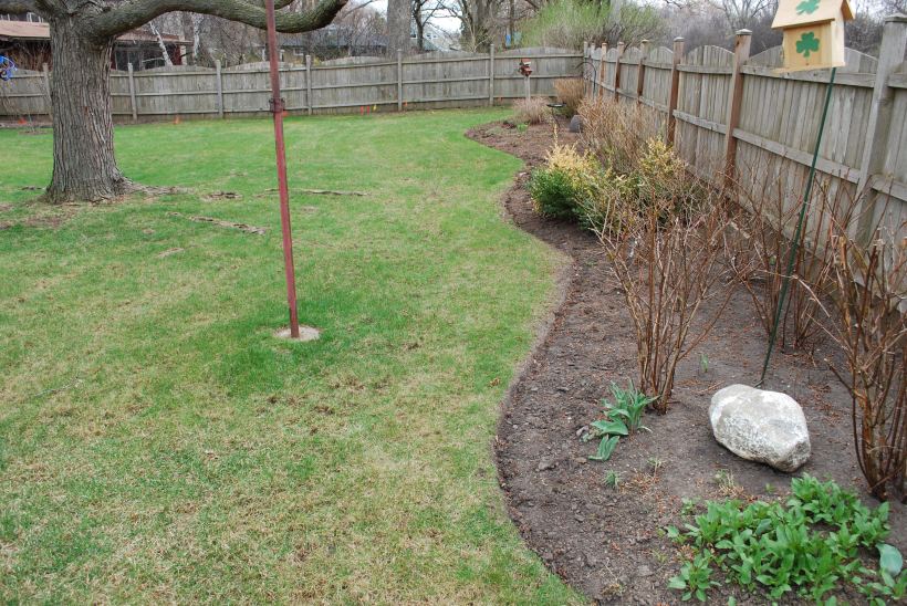 dwn petty before pic of west side of new maple tree bed