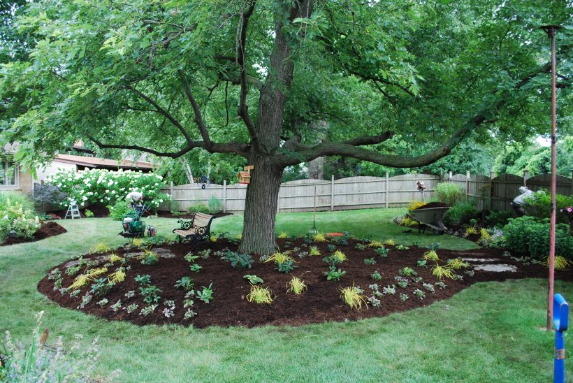 dwn petty side view after pic of maple bed