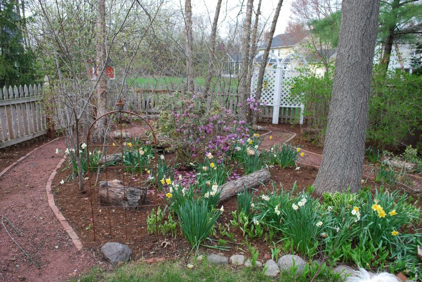 Laura Nikon 4-26-15 arboretum etc 055