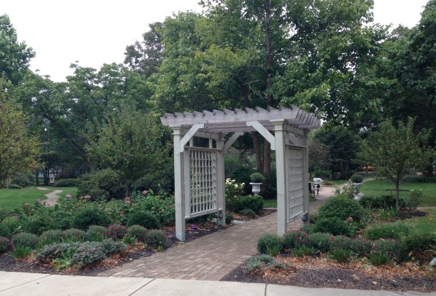 dwn Adams' park fall 2015 looking into park 10-5-15