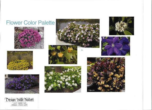 dwn thompson flower color palette 4-26-16