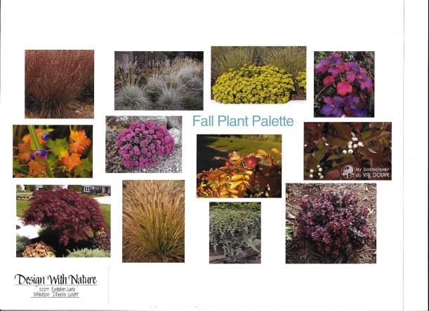 dwn thompson plan fall plant palette 4-26-16
