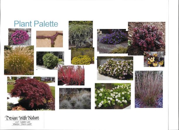 dwn thompson plan general plant palette 4-26-16