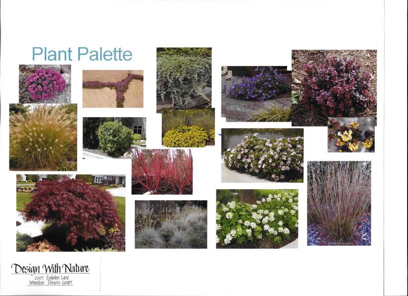 dwn thompson plan general plant palette 4-26-16