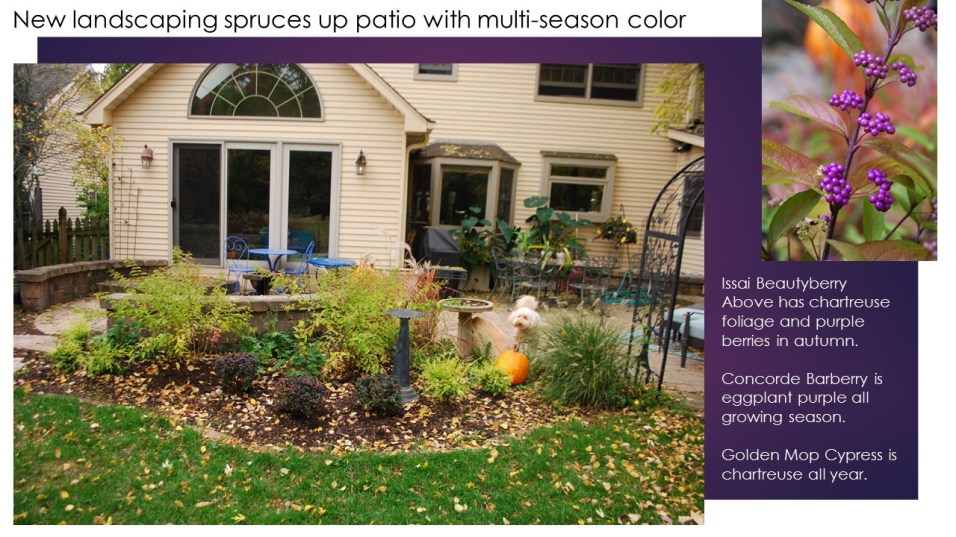 dwn my back yd new bed slides for blog 10-27-17