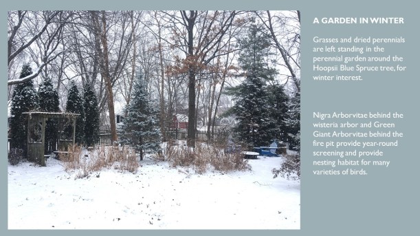 DWN MY YD WINTER dec. 2017 1 of 5