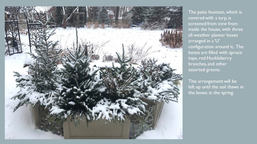 DWN MY YD WINTER dec. 2017 3 of 5