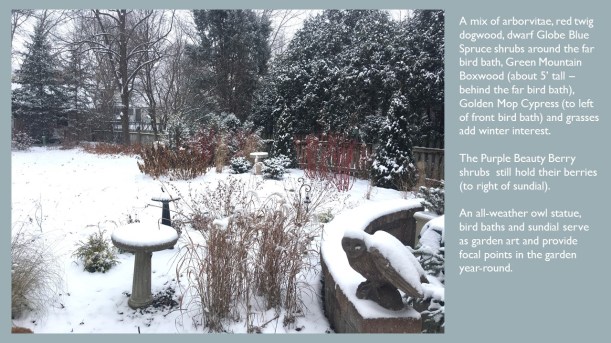 DWN MY YD WINTER dec. 2017 4 of 6