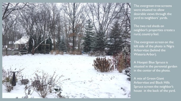 DWN MY YD WINTER dec. 2017 5 of 6