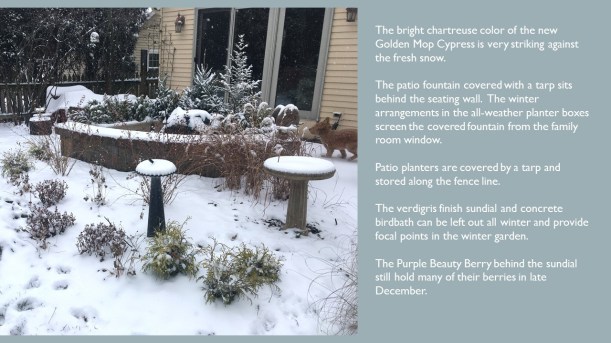 DWN MY YD WINTER dec. 2017 6 of 6