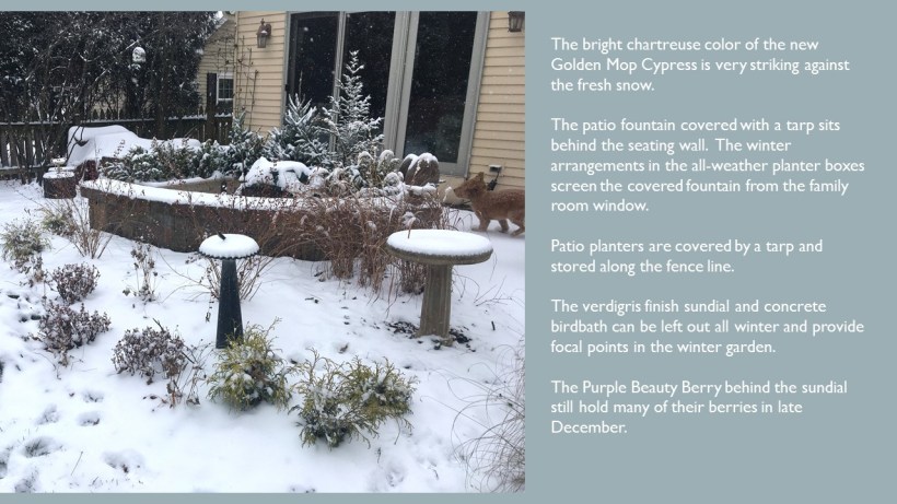 DWN MY YD WINTER dec. 2017 6 of 6