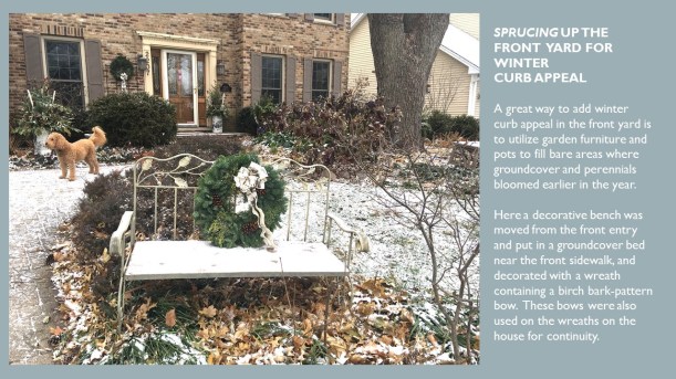 dwn POWER PT ADDING WINTER INTEREST IN FRONT YD FOR BLOG dEC. 2017 1 of 4