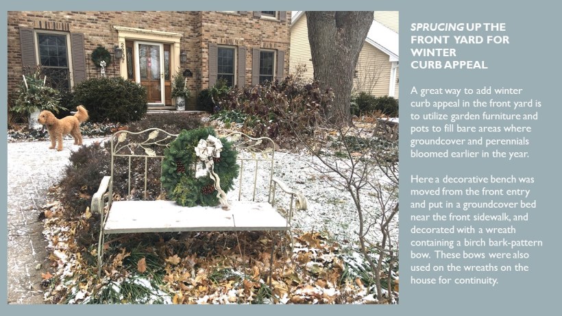 dwn POWER PT ADDING WINTER INTEREST IN FRONT YD FOR BLOG dEC. 2017 1 of 4