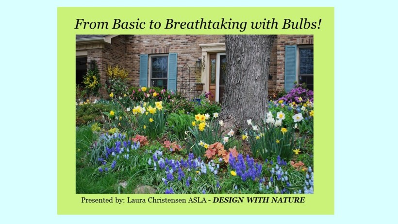 DWN GCI bulbs photo for blog - Copy