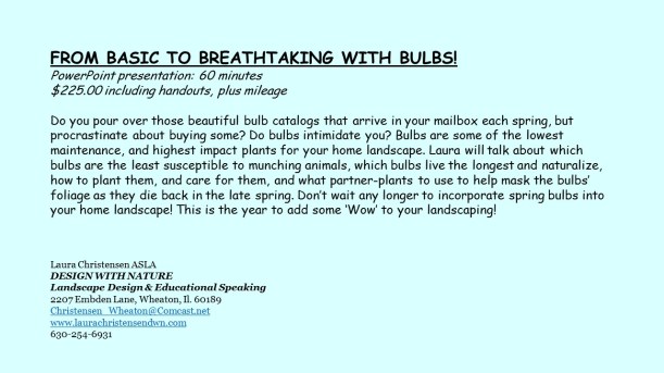 DWN GCI bulbs text for blog - Copy