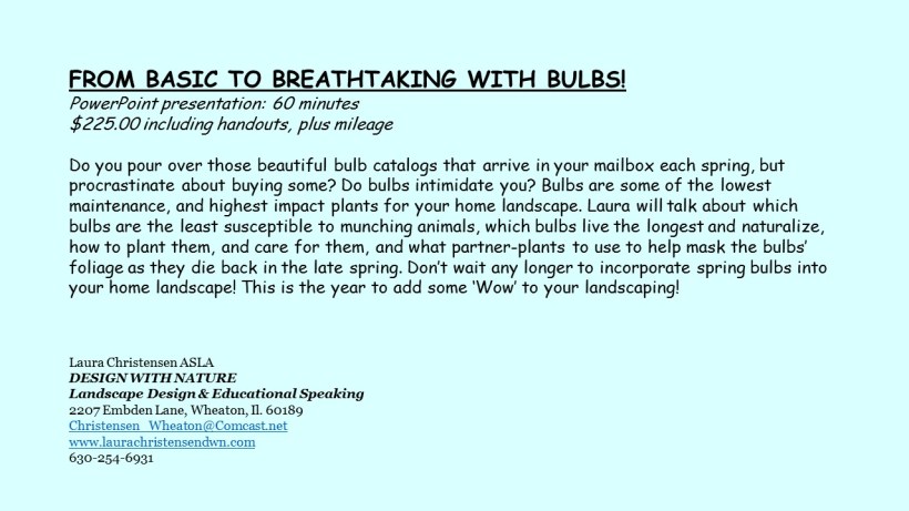 DWN GCI bulbs text for blog - Copy