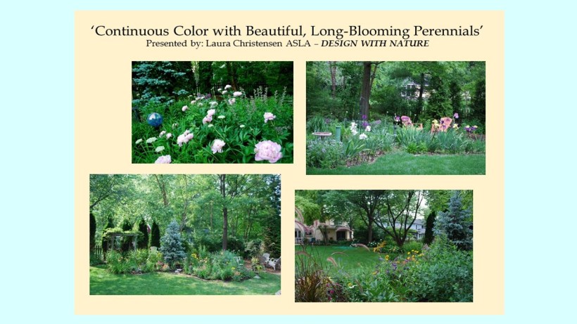 DWN GCI continuous color with perennials photo for blog - Copy