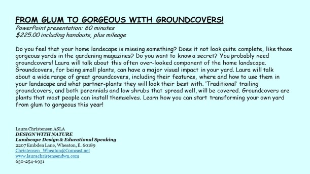 DWN GCI groundcover text for blog - Copy