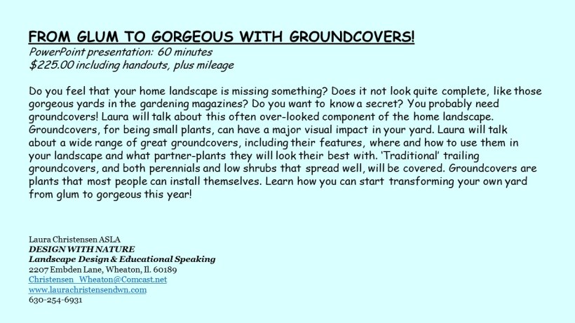 DWN GCI groundcover text for blog - Copy