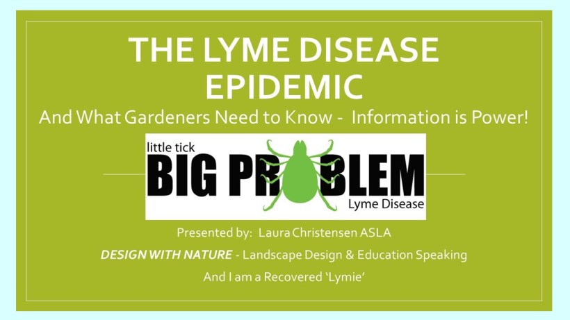 DWN GCI lyme cover photo