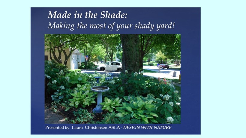 DWN GCI shade photo for blog