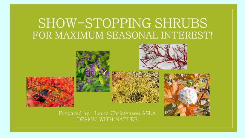 DWN GCI shrubs cover photo for blog