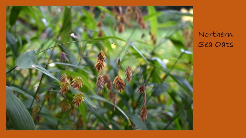 DWN fall colors 14 of 15