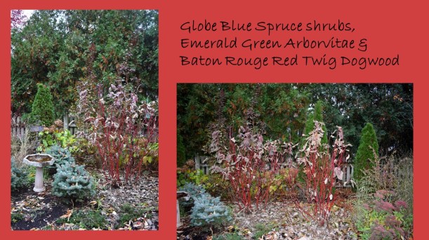 DWN fall colors 15 of 15