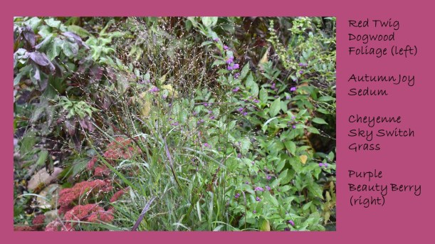 dwn fall colors 2 of 15