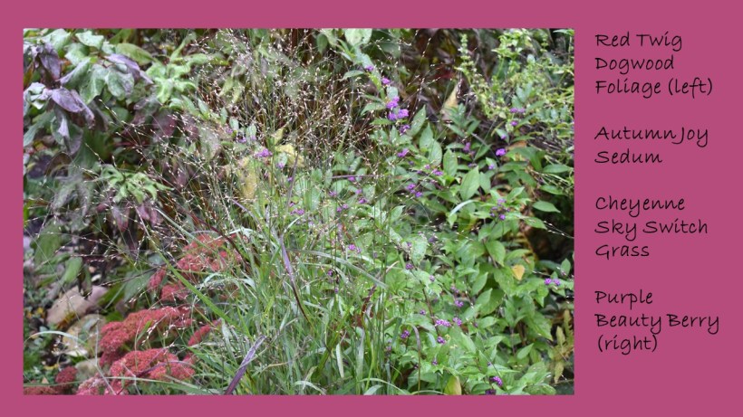 dwn fall colors 2 of 15