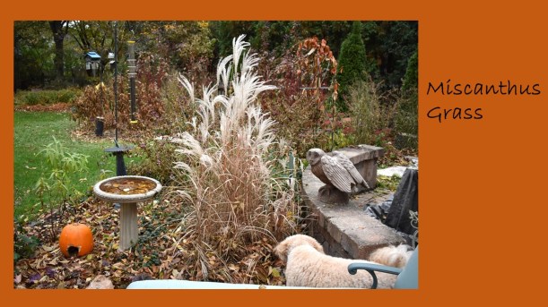 DWN fall colors 5 of 15